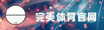 使用指南与常见问题
